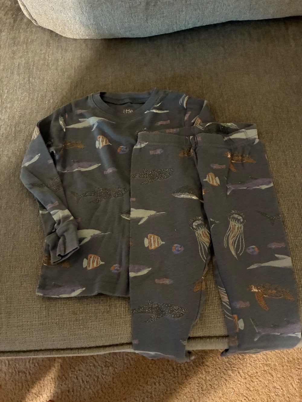 Carters Little Planet Pajamas Size 24 Months